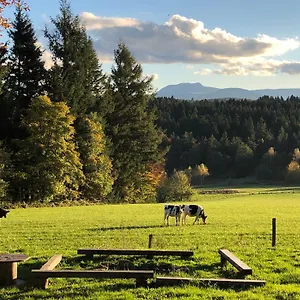 Petite Maison Au Calme Avec Vue Magnifique ! Hébergement de vacances Le Chambon-sur-Lignon